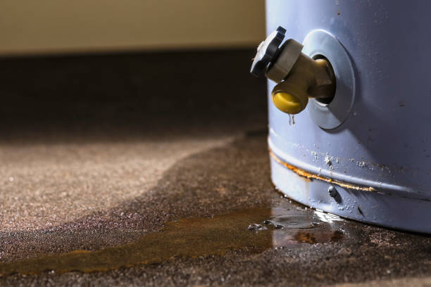 Best 24-hour water damage restoration  in Macungie, PA