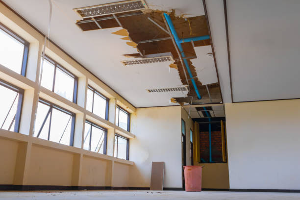 Best Water damage restoration near me  in Macungie, PA