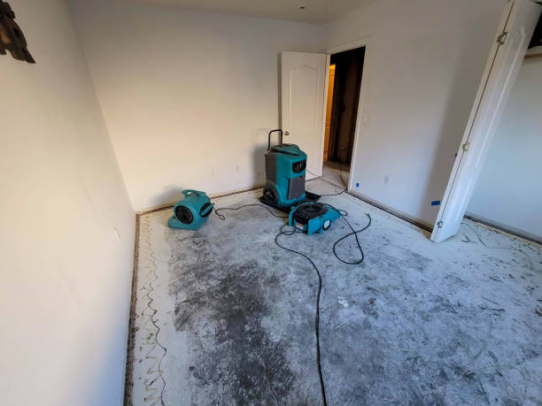 Best Local water damage restoration  in Macungie, PA