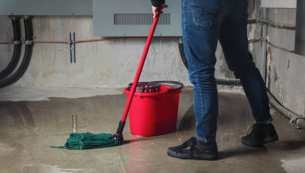 Best Basement water damage restoration  in Macungie, PA