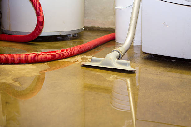 Best Water damage restoration near me  in Macungie, PA