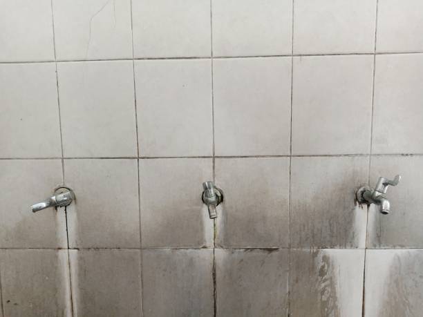Best Water damage restoration insurance claims  in Macungie, PA