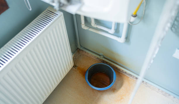Best Professional water damage repair  in Macungie, PA