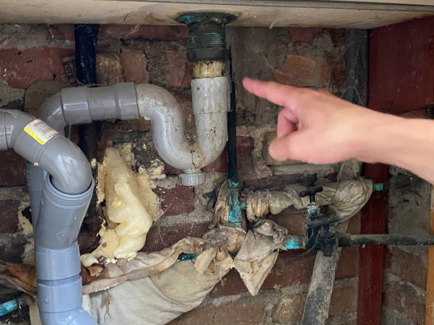 Best Professional water damage repair  in Macungie, PA