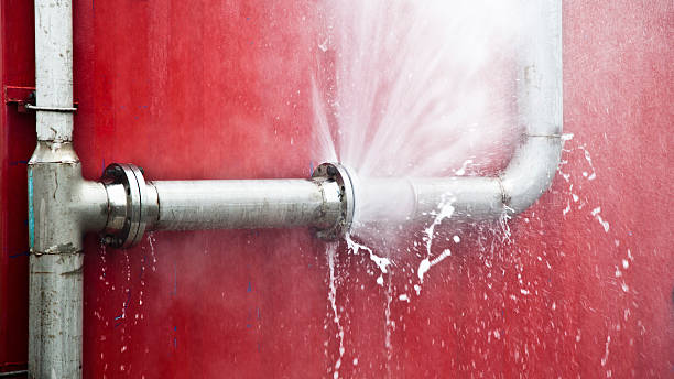 Best Flood damage cleanup  in Macungie, PA